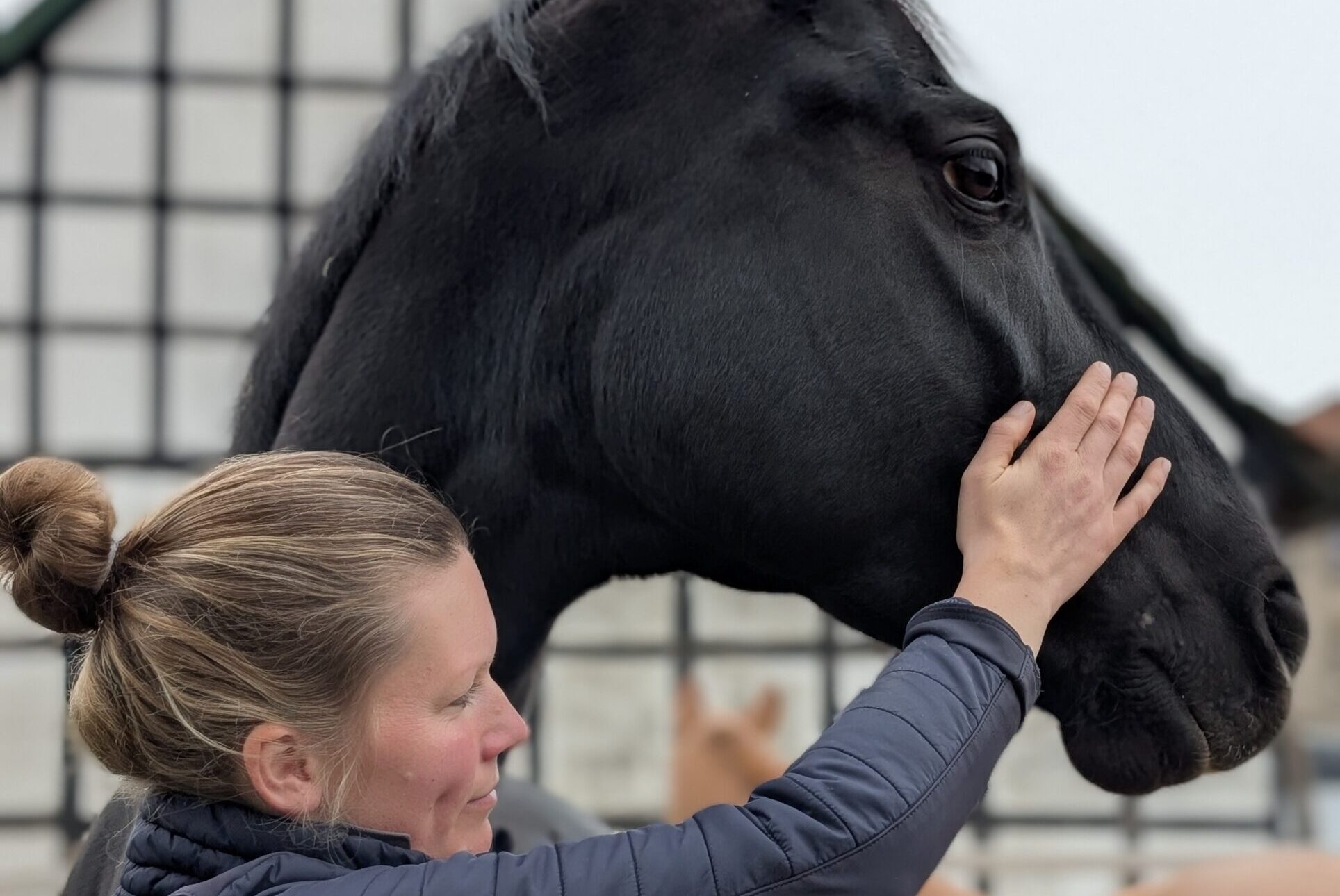 PXL_20251114_132946864.PORTRAIT