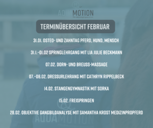 Termine im Februar 2026