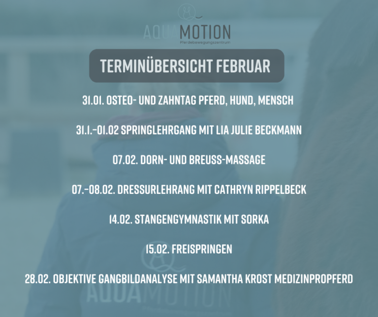 Termine im Februar 2026