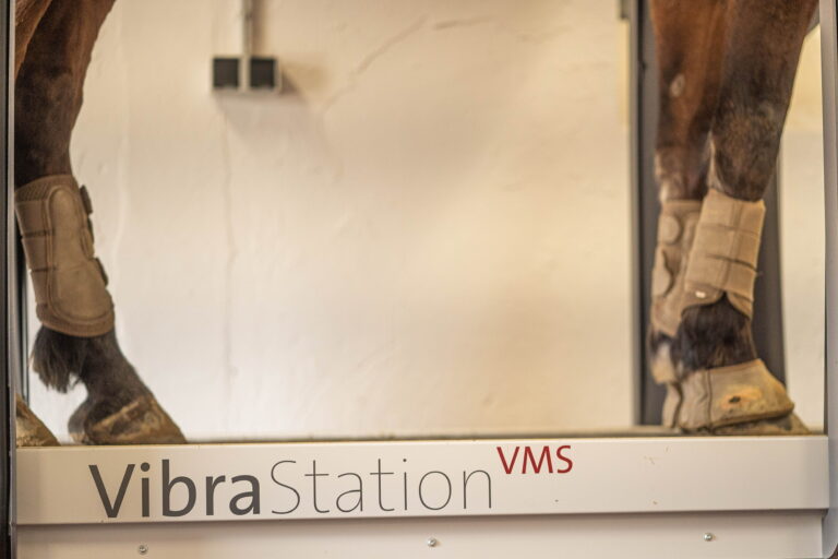 Vibrationsplatte